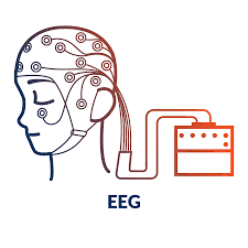 EEG