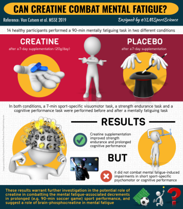 Infographic Creatine